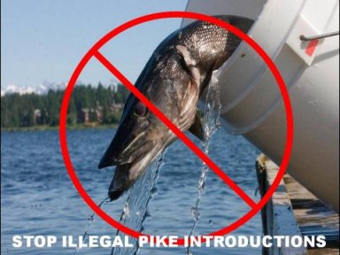 stop pike.jpg