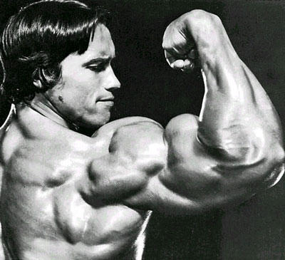 arnold_schwarzenegger.jpg