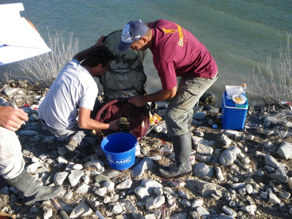 fISH FLOAT TEAM vs OLD SHACK TEAM 005.jpg