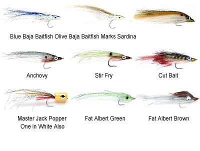 Blue Water Baitfish