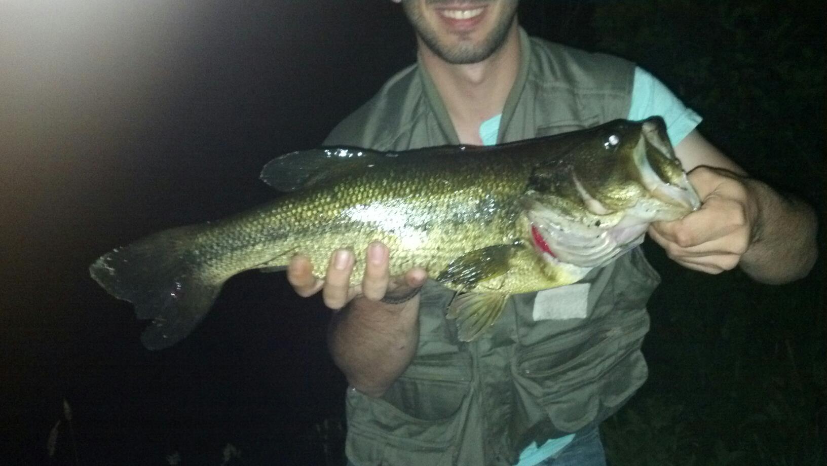 night fishing monsters