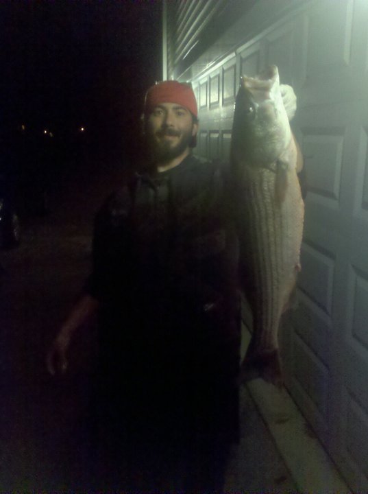 striper bass