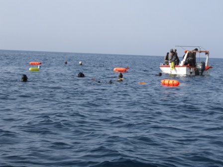 2008_0420maresparousiash20080019.JPG