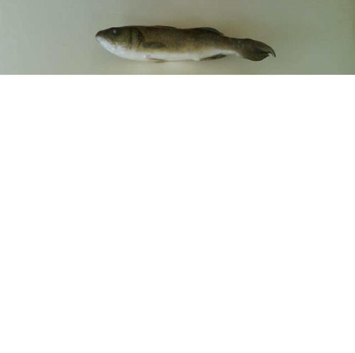 untitled.JPG