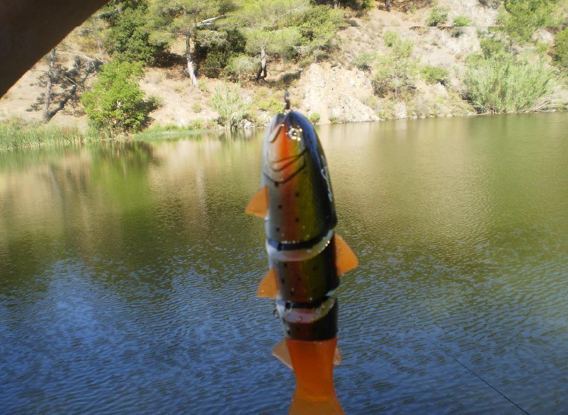 troutsb.JPG