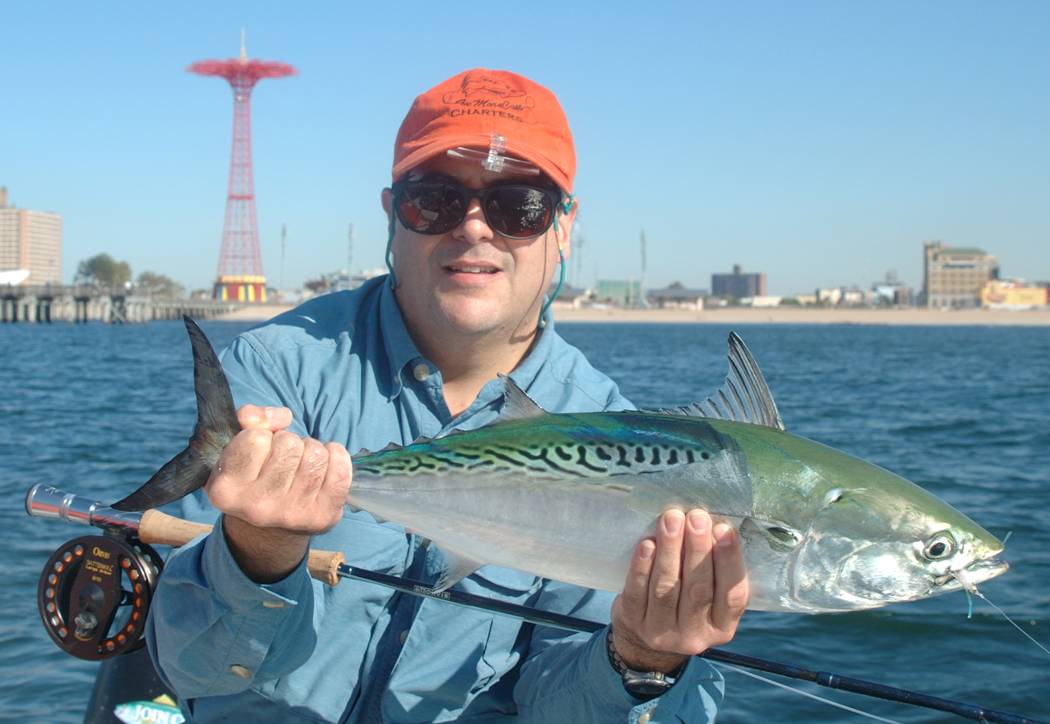 Bonito.jpg