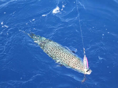 web jig 1.JPG