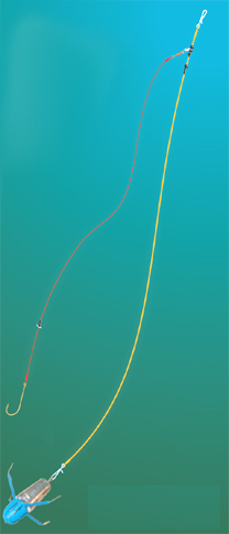 r001.jpg