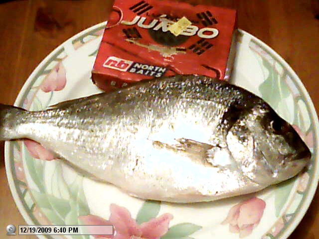 Picture 277.jpg