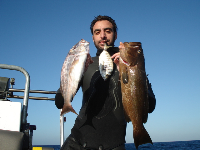 dsc00728x[1].jpg