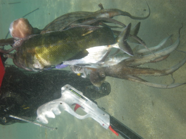 p1022466[1].jpg