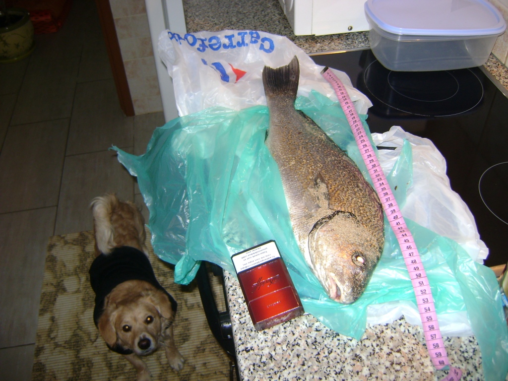 FOTOS 011.jpg