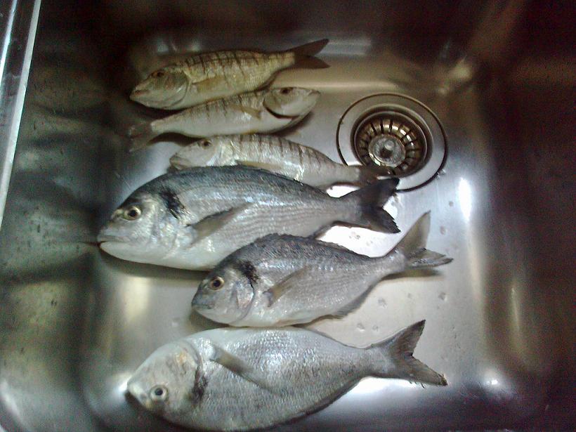 16022010025.jpg