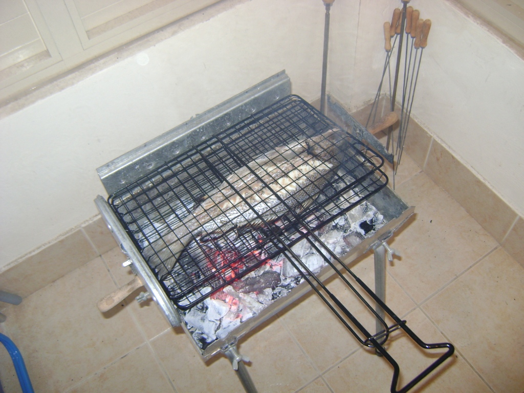 FOTOS 014.jpg