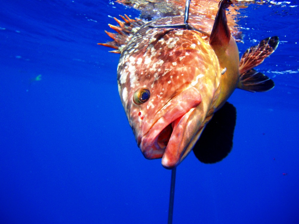 Fishing 20.02.2010 (9).JPG
