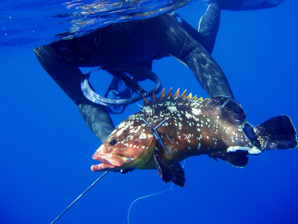 Fishing 20.02.2010 (15).JPG