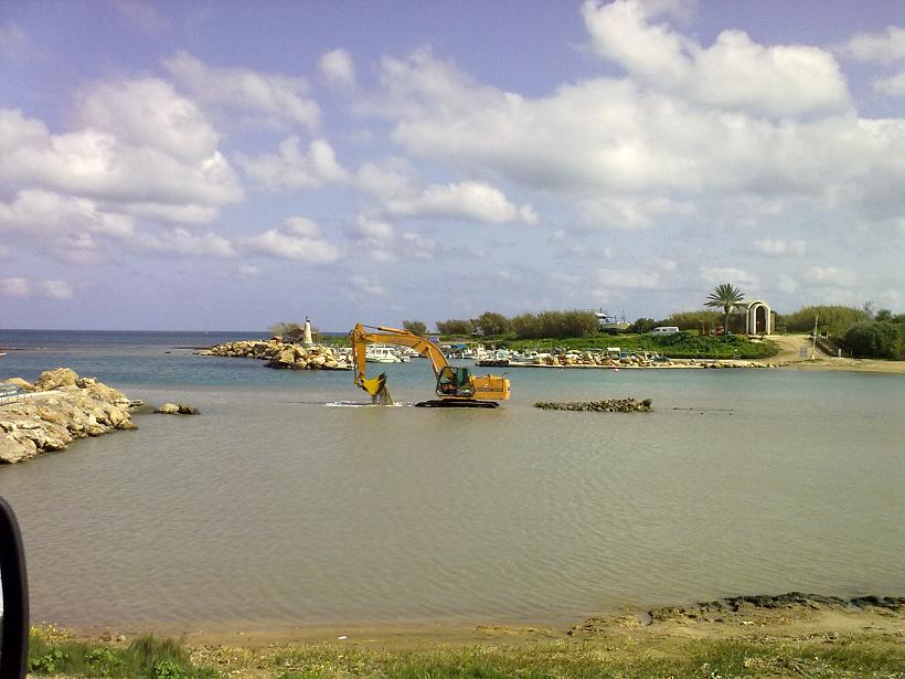 02032010083.jpg