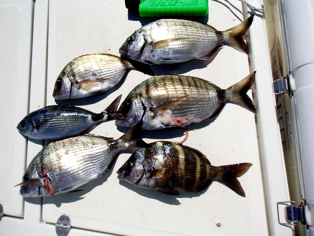 fishing 3 (2).JPG