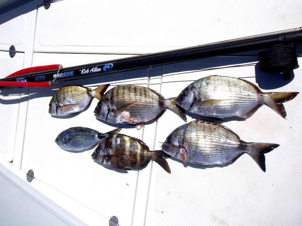 fishing 3 (7).JPG