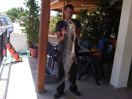 15kg .jpg