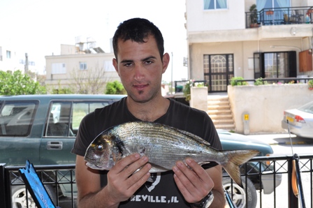 Αγρια τσιπουρα
