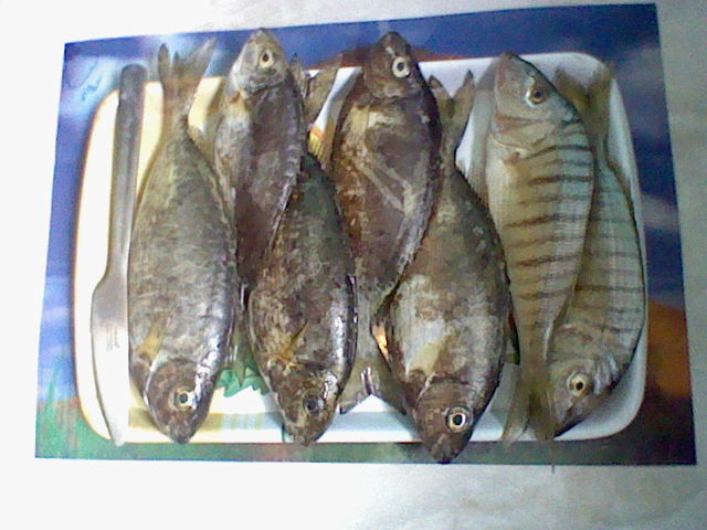 HNI_0004.JPG