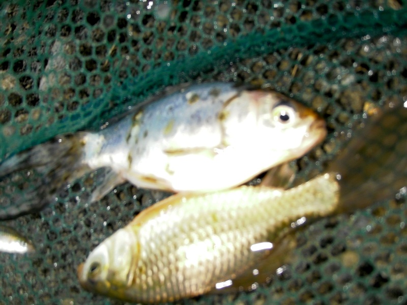 P6250001.JPG