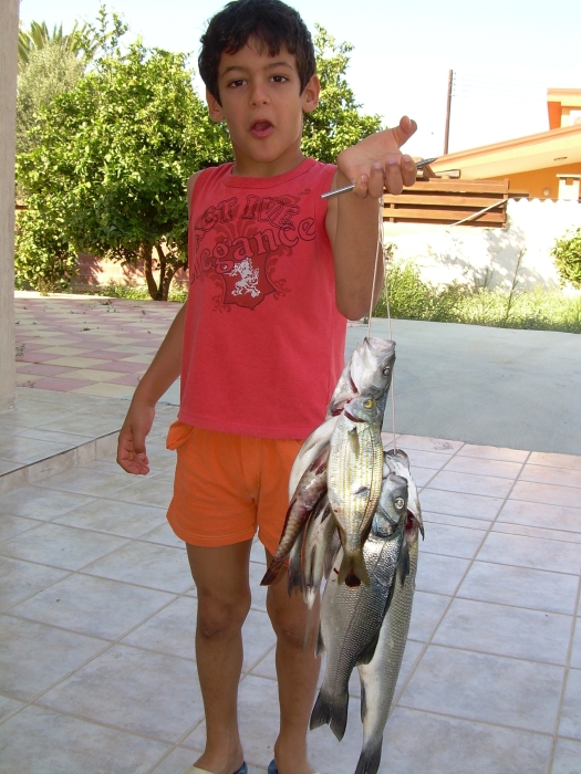 DSCN0397.JPG