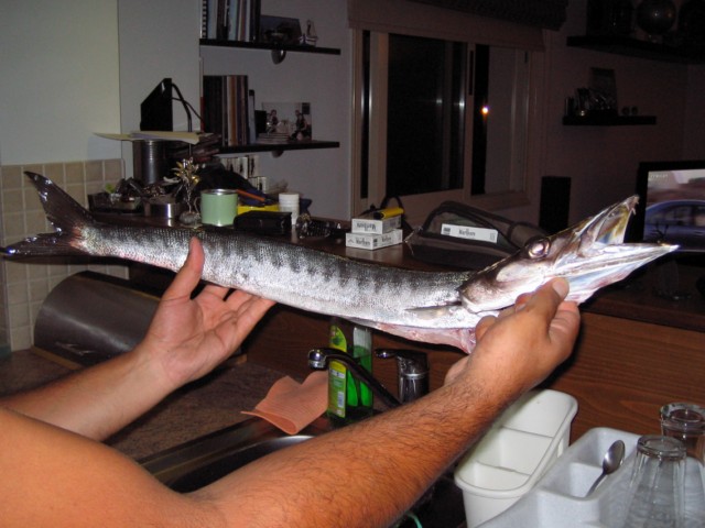 IMG_1480 [640x480].JPG