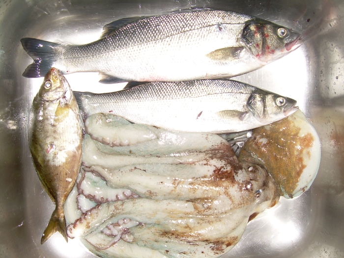 DSCN0417.JPG