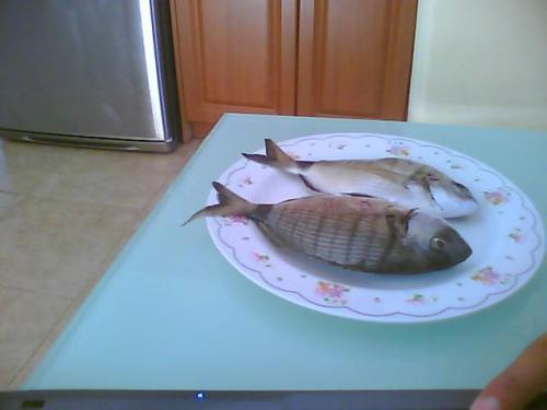 Picture0010.jpg