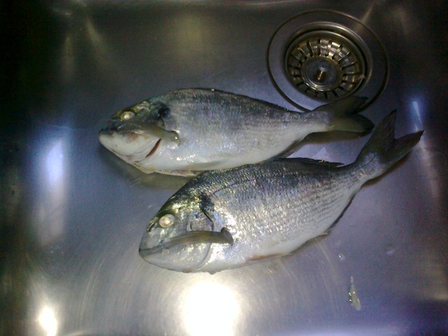 290820100651.jpg