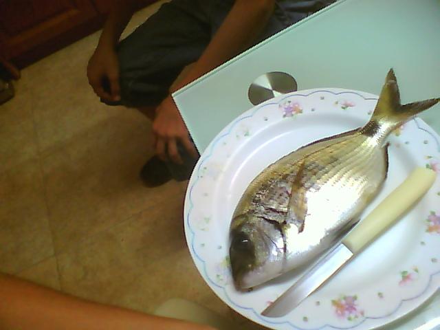 Picture0016.jpg