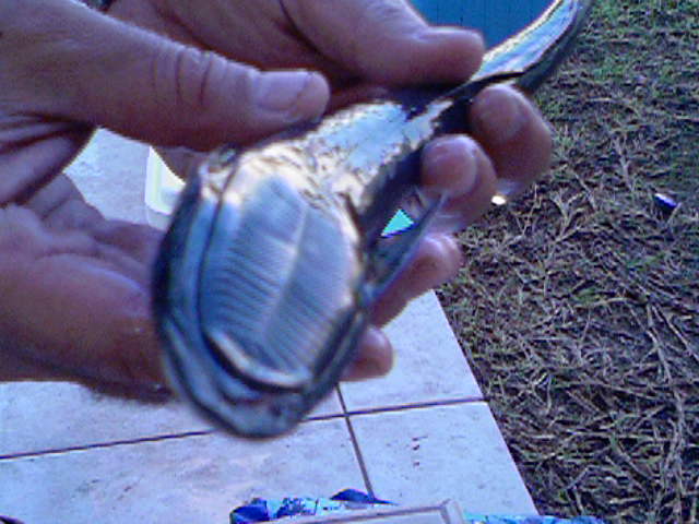Photo-0074_011.jpg