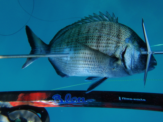 p6120447[1].jpg