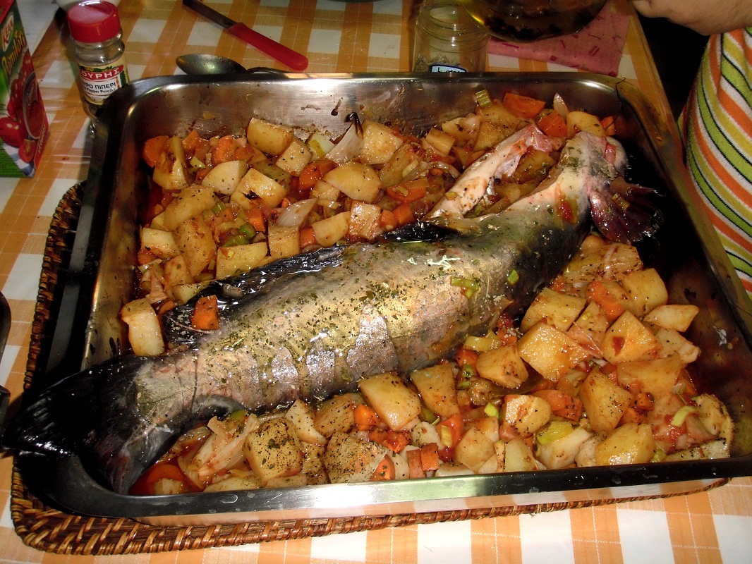 PA030009.JPG