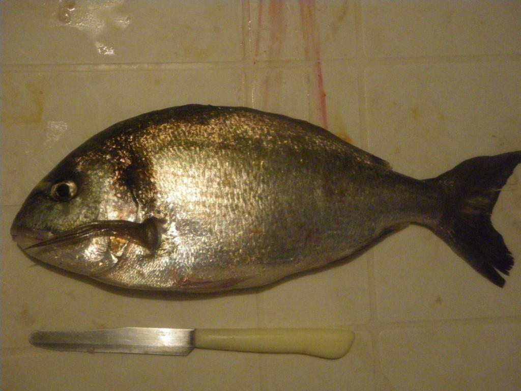 10 2010 021.jpg