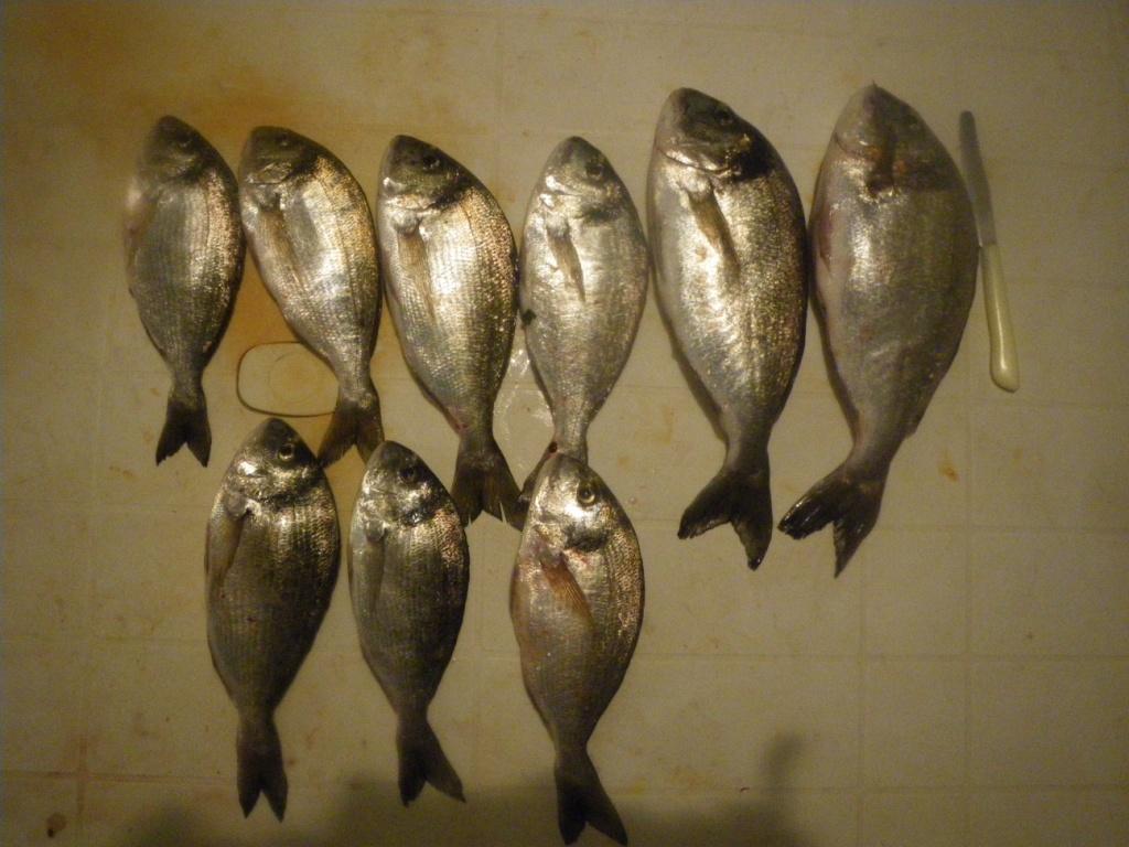 10 2010 020.jpg