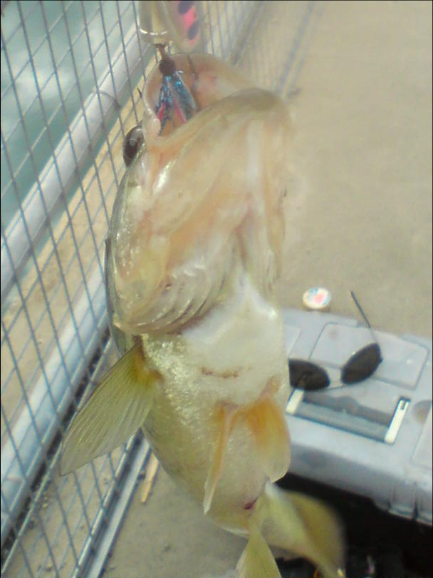 DSC00822.JPG