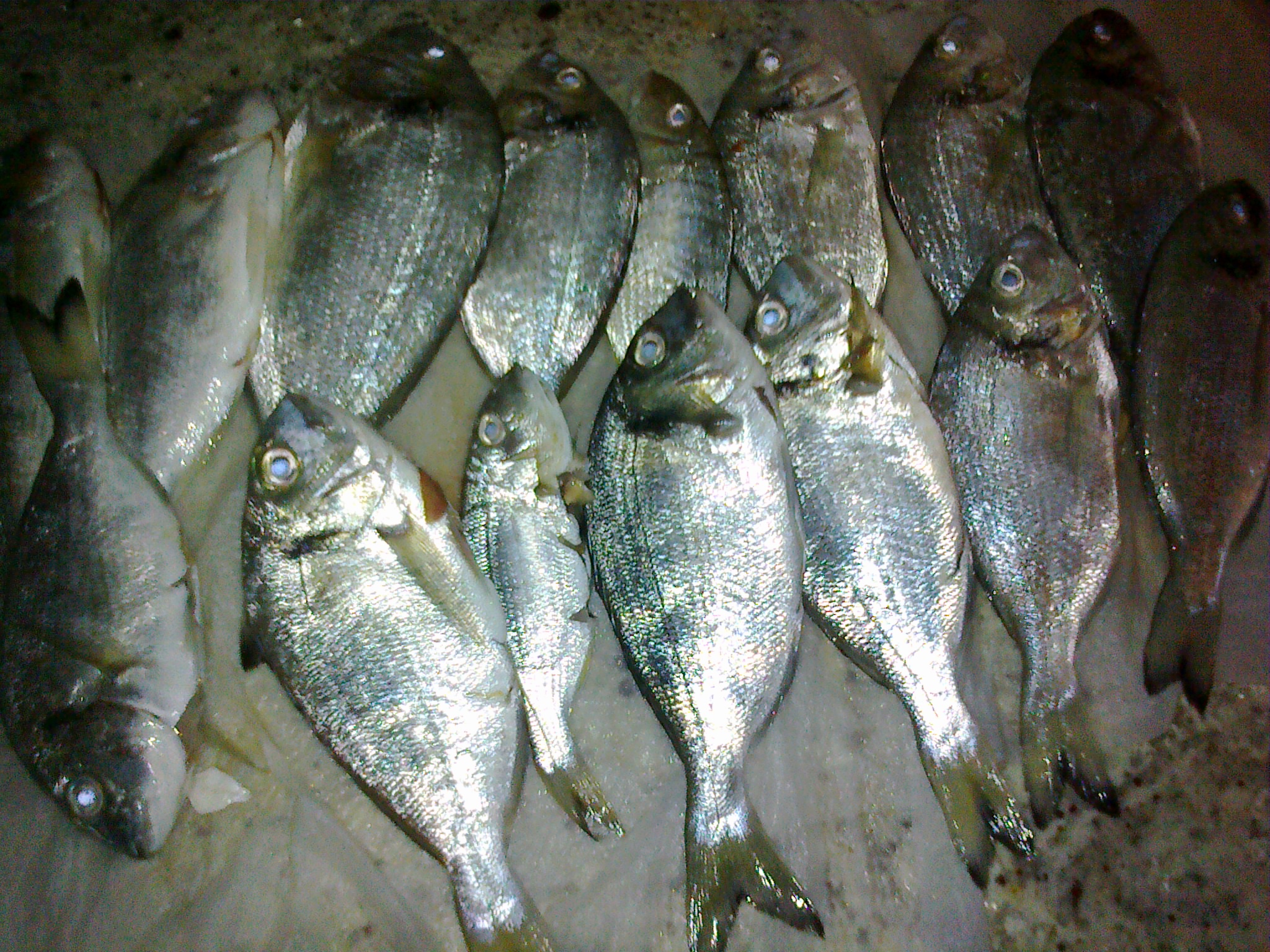 22112010102.jpg