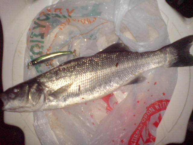 DSC00186.JPG