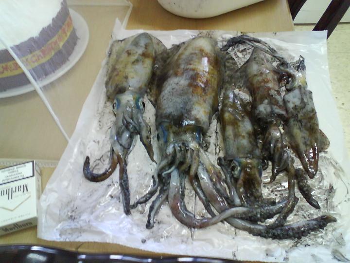 _%200707.jpg