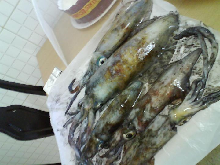 _%200709.jpg