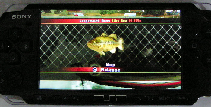 PB2a.jpg