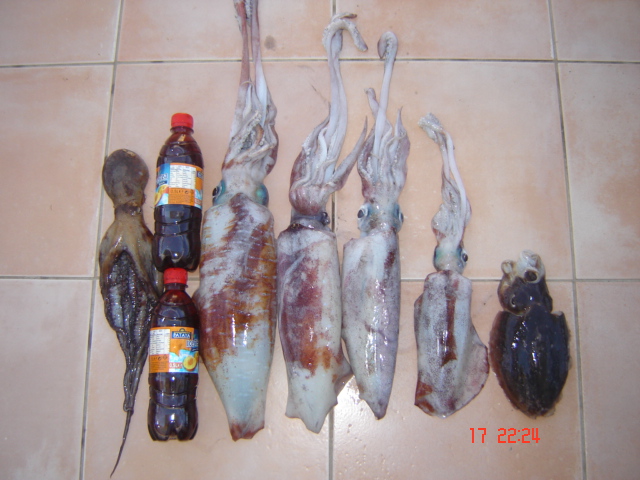 DSC04305.JPG