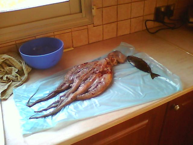 Picture0039.jpg