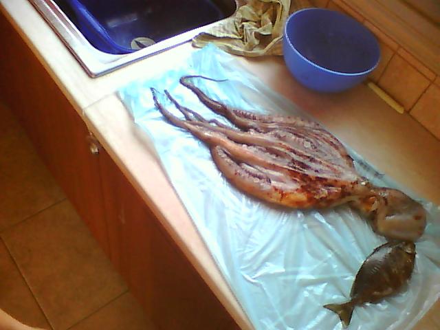 Picture0041.jpg