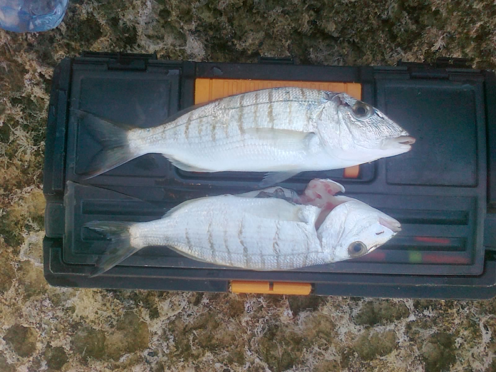 150320113609.jpg