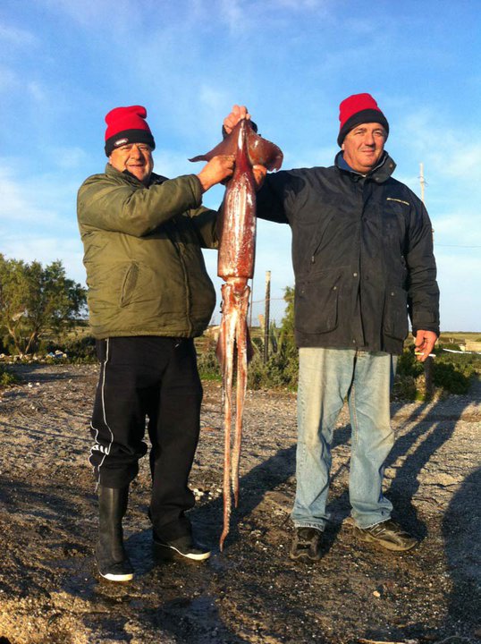 kalamari   1.68m 12kg.jpg
