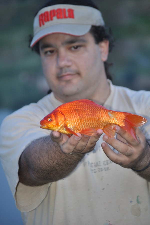 DSC_1023.JPG